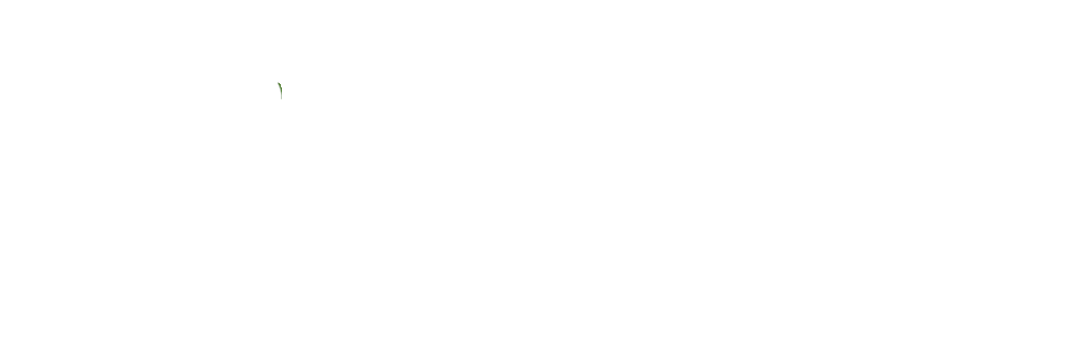 Mega-M logo